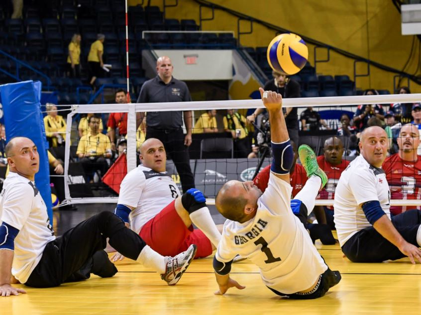 sitting volleyball | Sovereign Wealth Partners